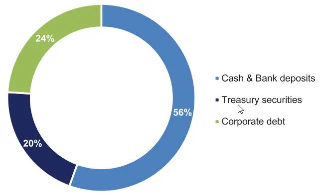 Chart showing Sanlam Money Market Fund Asset Allocation