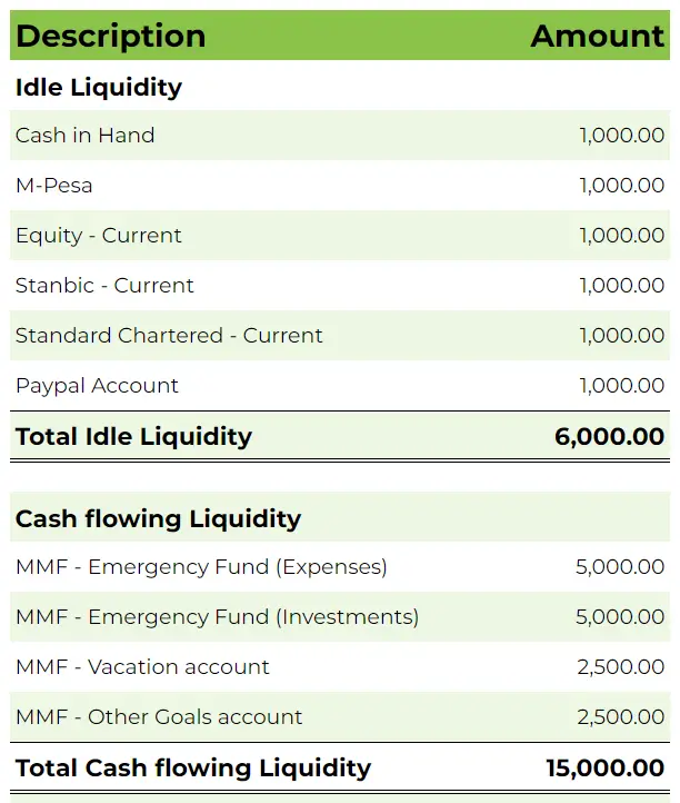Personal Finance Kenya - Full Liquidity section of the net worth tracker