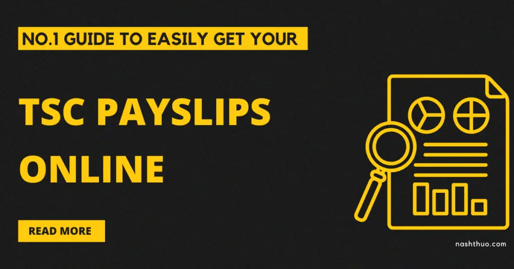 No.1 Guide to Easily Get Your TSC Payslips Online