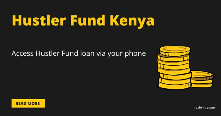 Apply for the Hustler Fund Loan via your phone (USSD 254)